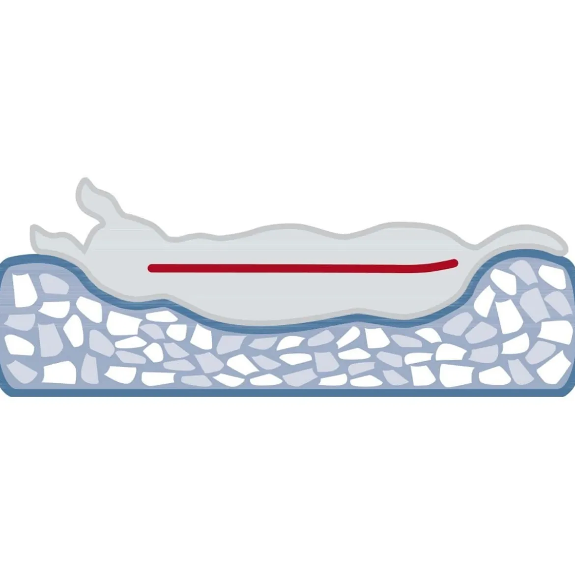 Trixie Noah Ortopedisk Hundbädd Grå
