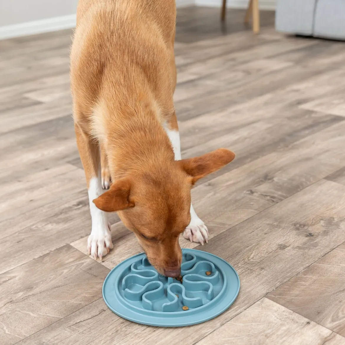 Trixie Slow Feeder Fodermatta till Hund 24 cm