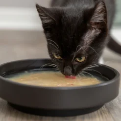Trixie Soppa till Katt med Kyckling och Lax 80 g