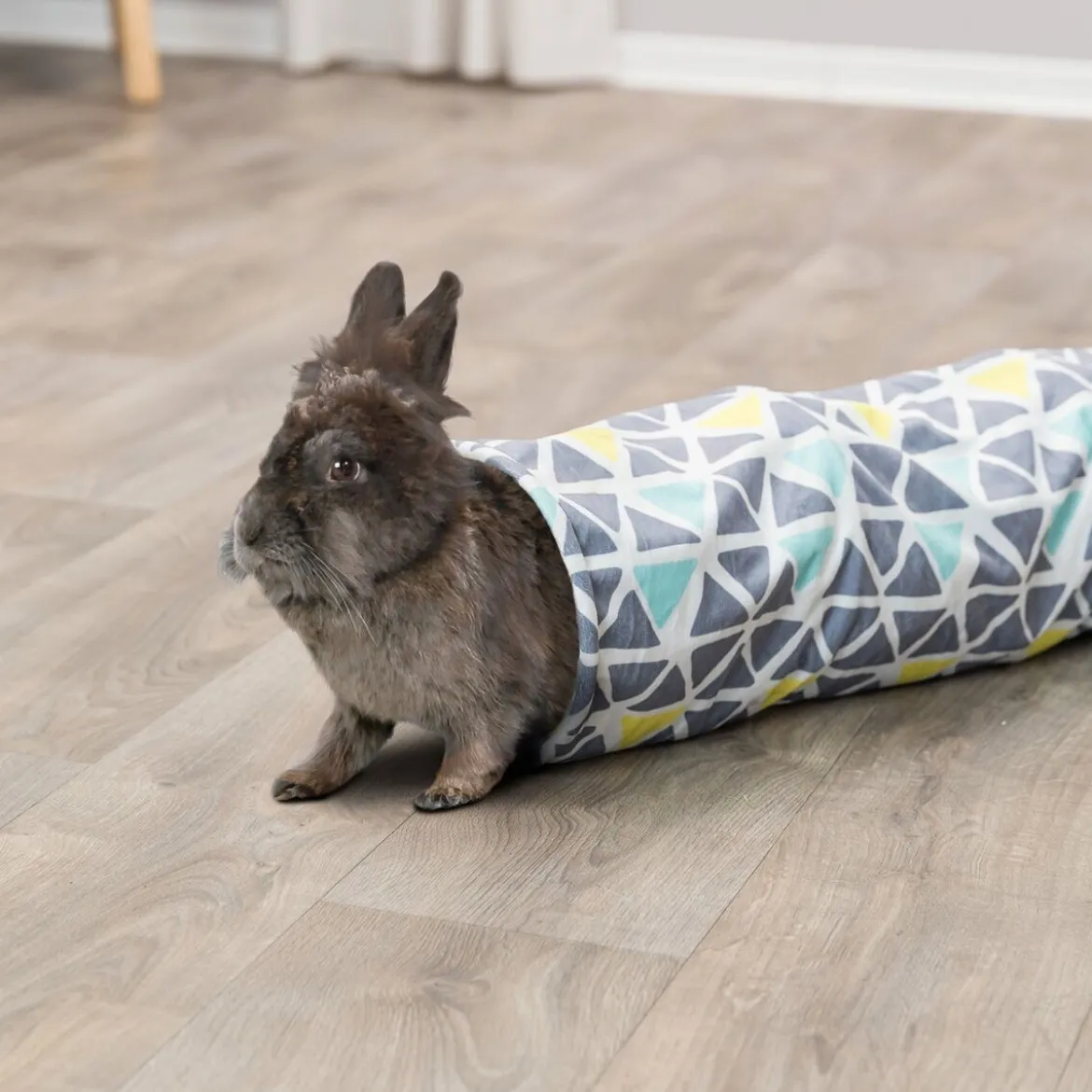 Trixie Sunny Lektunnel för Kaniner och Marsvin 70 cm