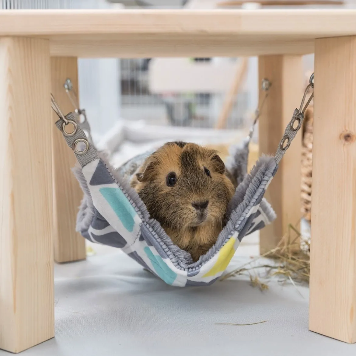 Trixie Sunny Plattform med Hammock