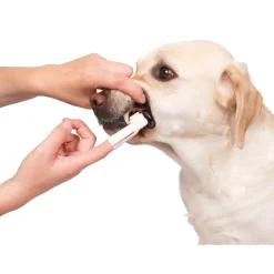 Trixie Tandvårdssett med tandkräm och tandborste