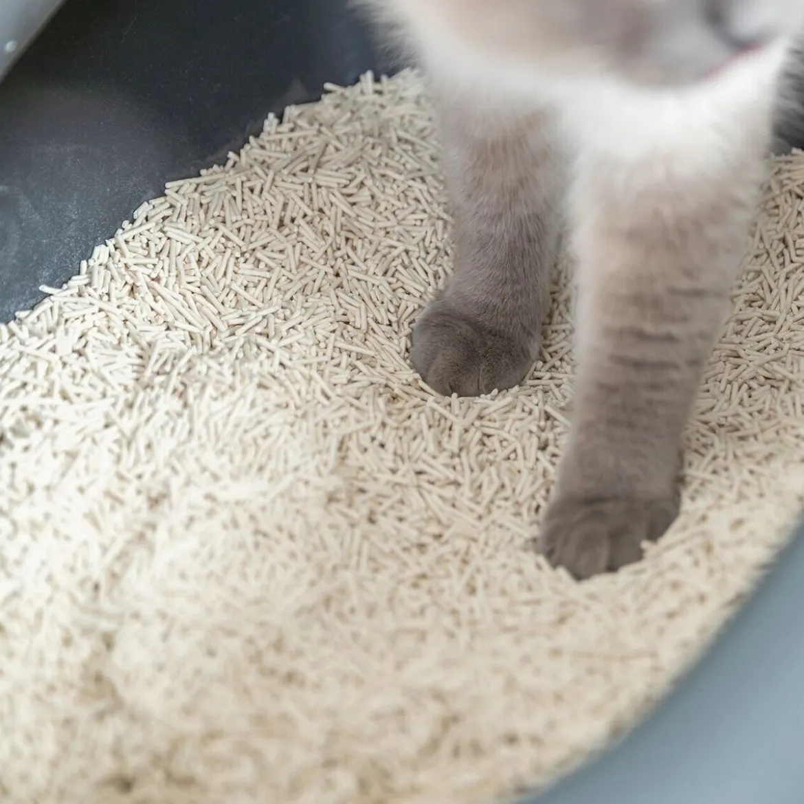 Trixie Tofu Klumpbildande Kattströ