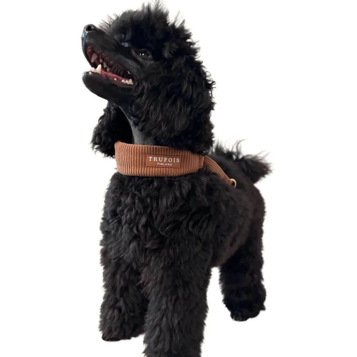 Trufois Brett Hundhalsband Halvstryp Brun