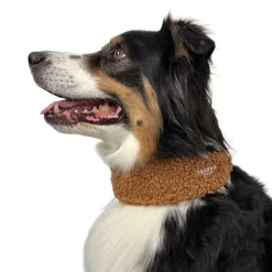 Trufois Brett Hundhalsband Halvstryp Teddy Brun