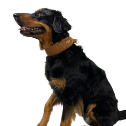 Trufois Brett Hundhalsband Halvstryp Teddy Brun