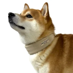 Trufois Brett Hundhalsband Halvstryp Beige