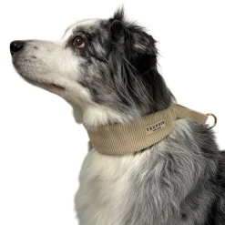 Trufois Brett Hundhalsband Halvstryp Beige