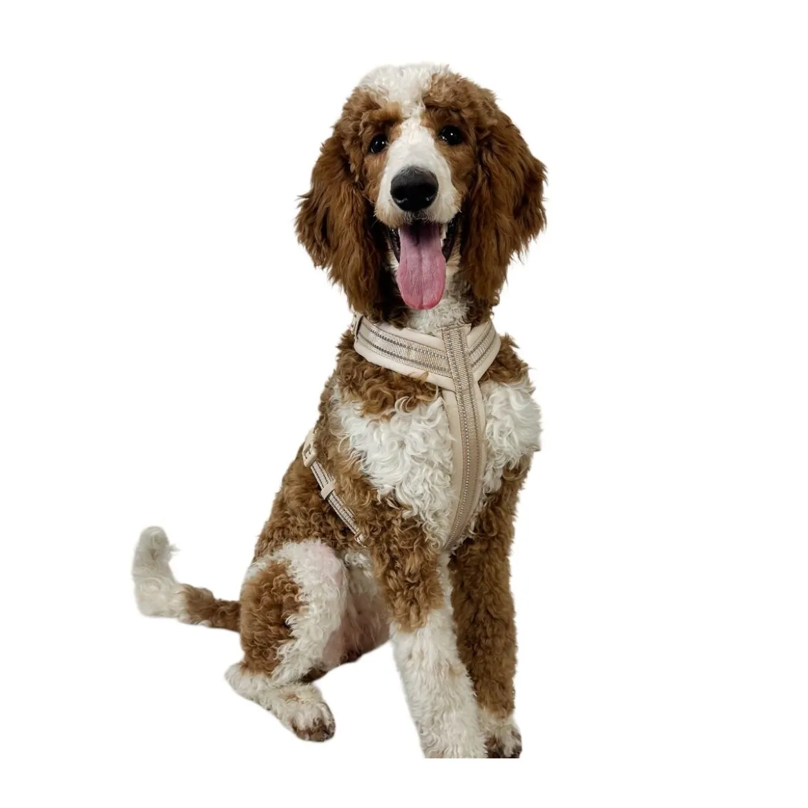Trufois Comfy Hundsele Beige