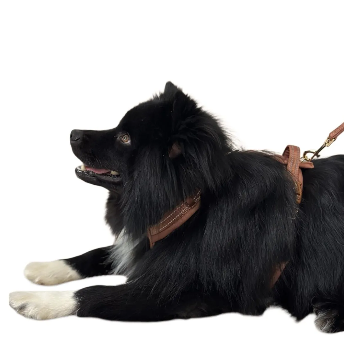 Trufois Comfy Hundsele Brun
