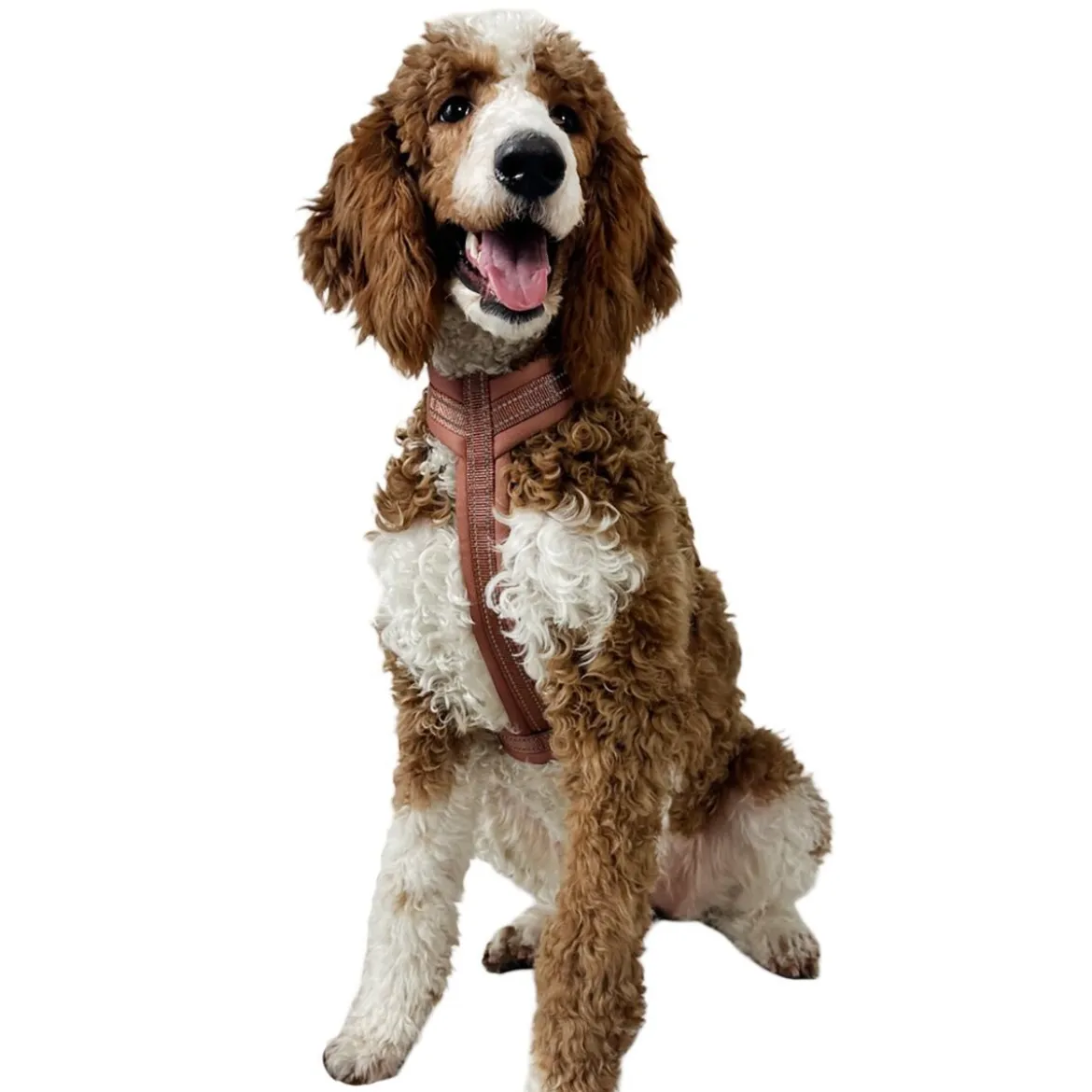 Trufois Comfy Hundsele Brun