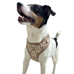 Trufois Lite Chai Hundsele Blommig