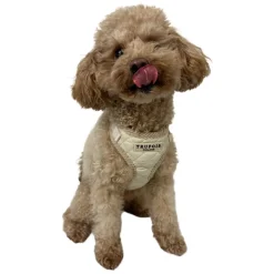 Trufois Lite Hundsele Beige