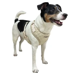 Trufois Lite Hundsele Beige