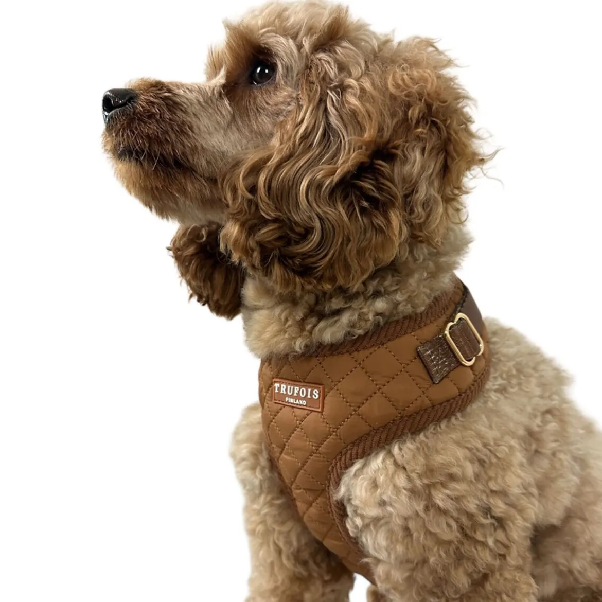 Trufois Lite Hundsele Brun