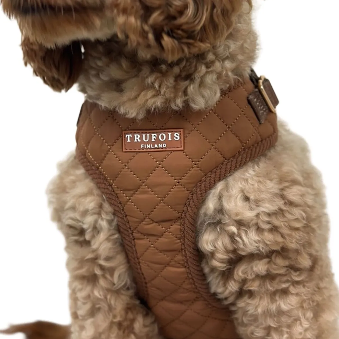 Trufois Lite Hundsele Brun