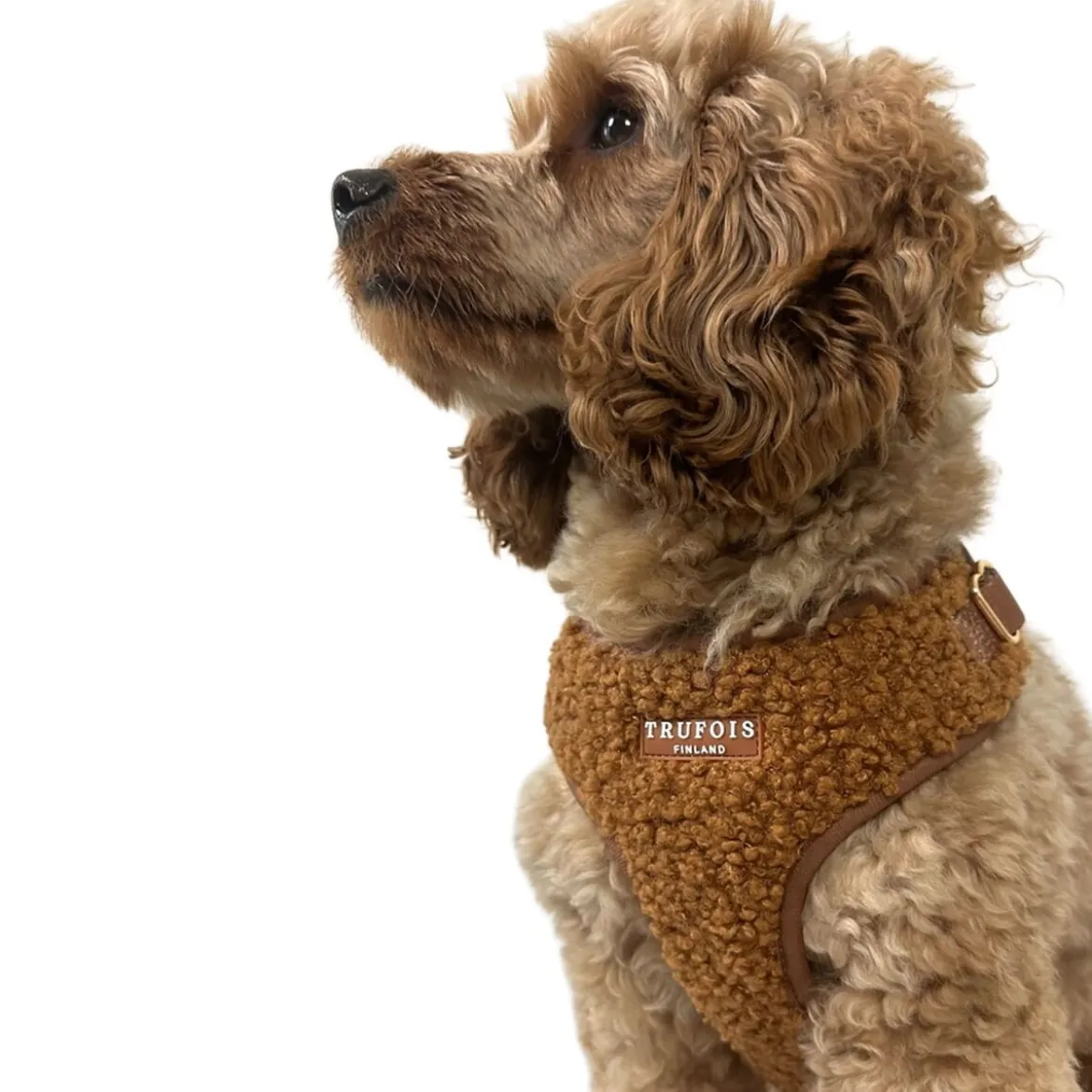Trufois Lite Teddy Hundsele Brun