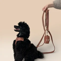 Trufois Multifunktionellt Hundkoppel Brun