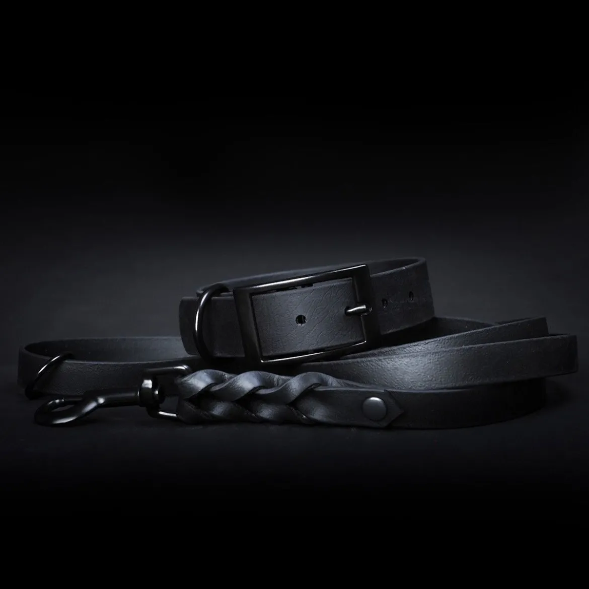 Tyylivoitto Classy Black on Black Hundhalsband Svart