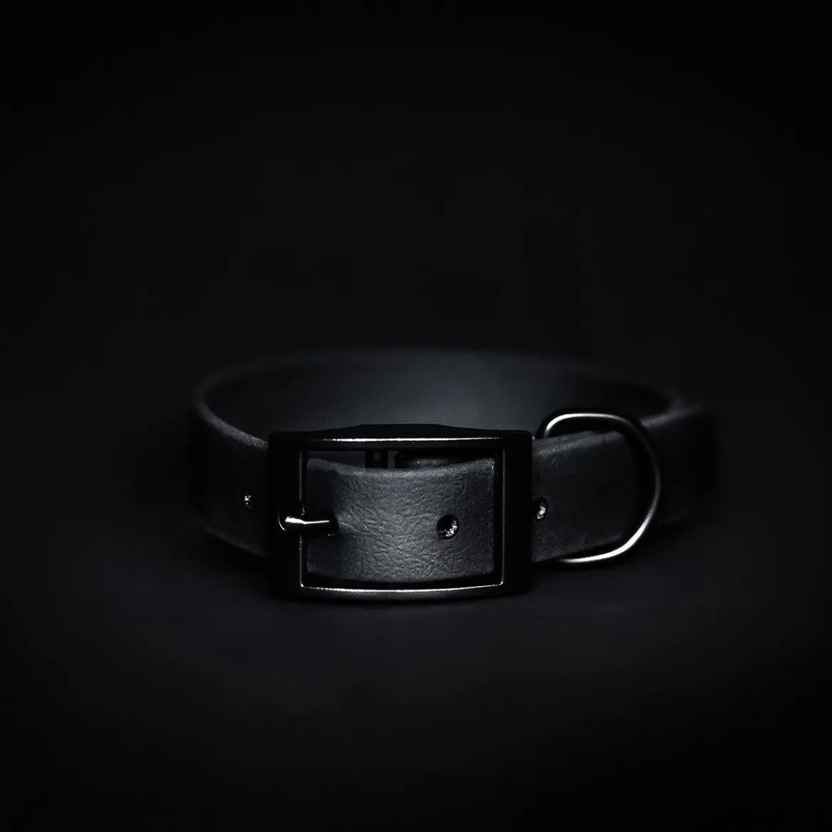 Tyylivoitto Classy Black on Black Hundhalsband Svart