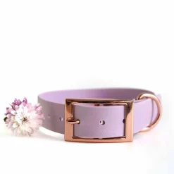 Tyylivoitto Classy Hundhalsband Stor Modell Lila