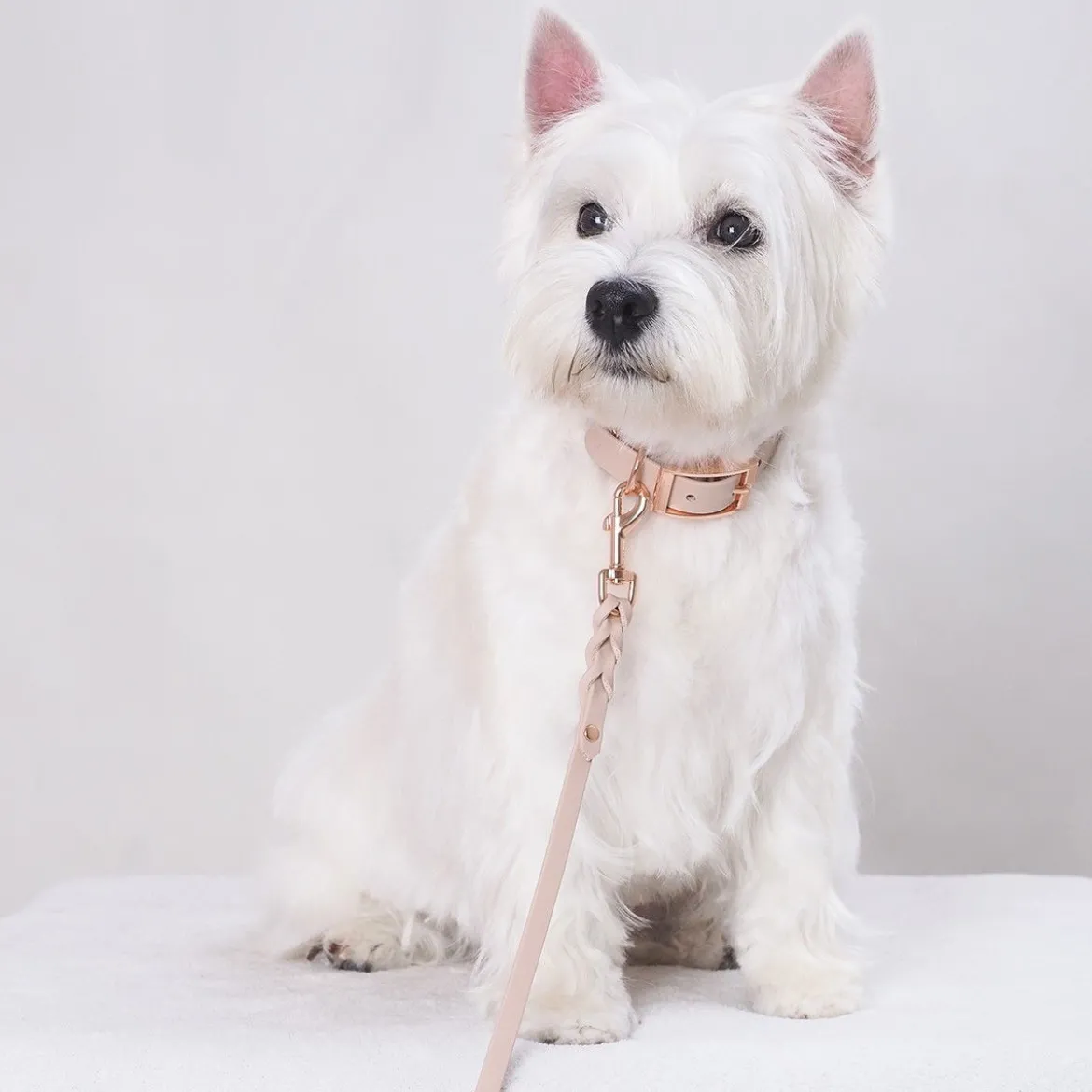 Tyylivoitto Classy Hundhalsband Beige