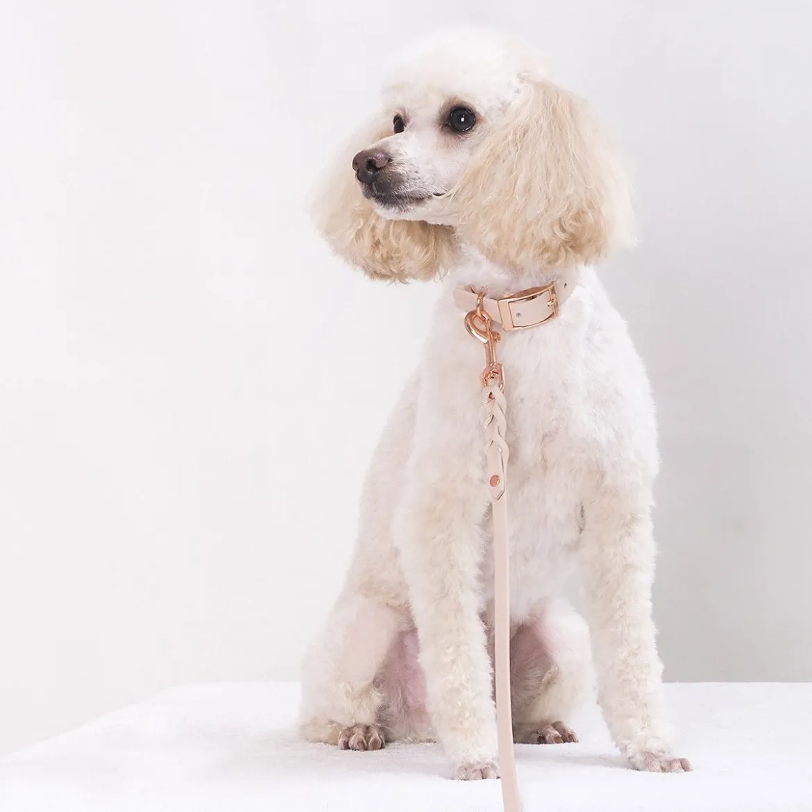 Tyylivoitto Classy Hundhalsband Beige