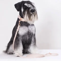 Tyylivoitto Classy Hundhalsband Beige