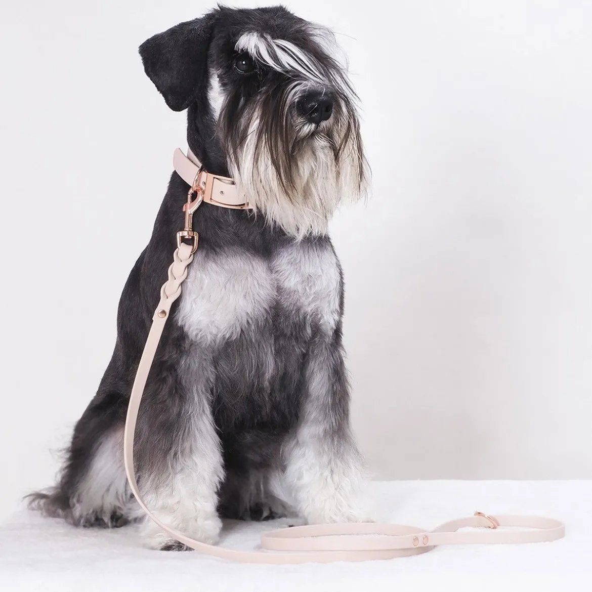 Tyylivoitto Classy Hundhalsband Beige