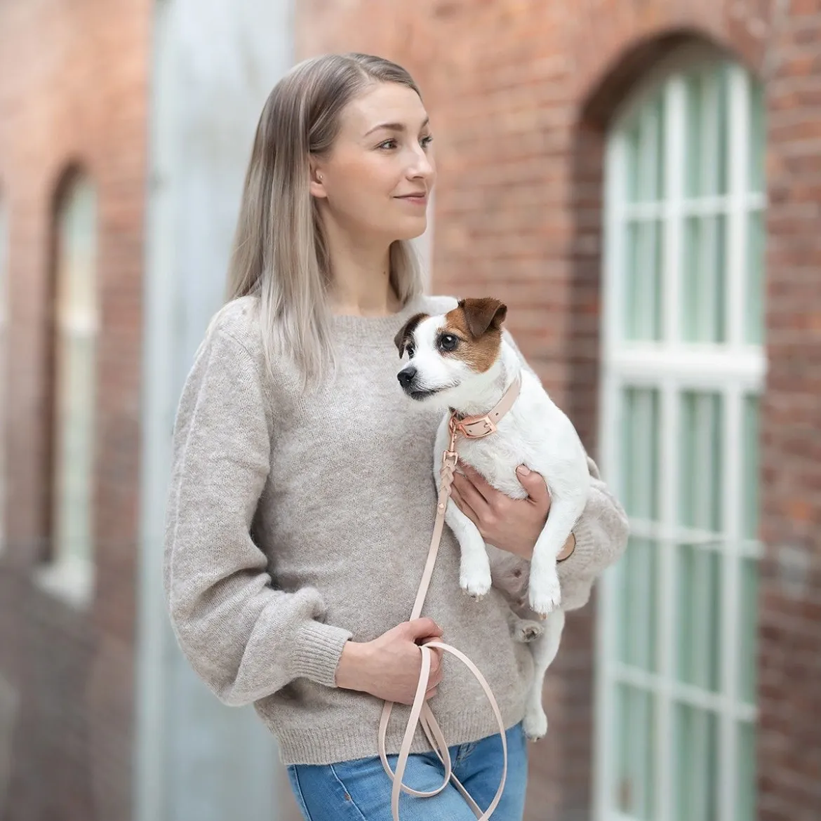 Tyylivoitto Classy Hundhalsband Beige
