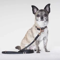 Tyylivoitto Classy Hundhalsband Svart