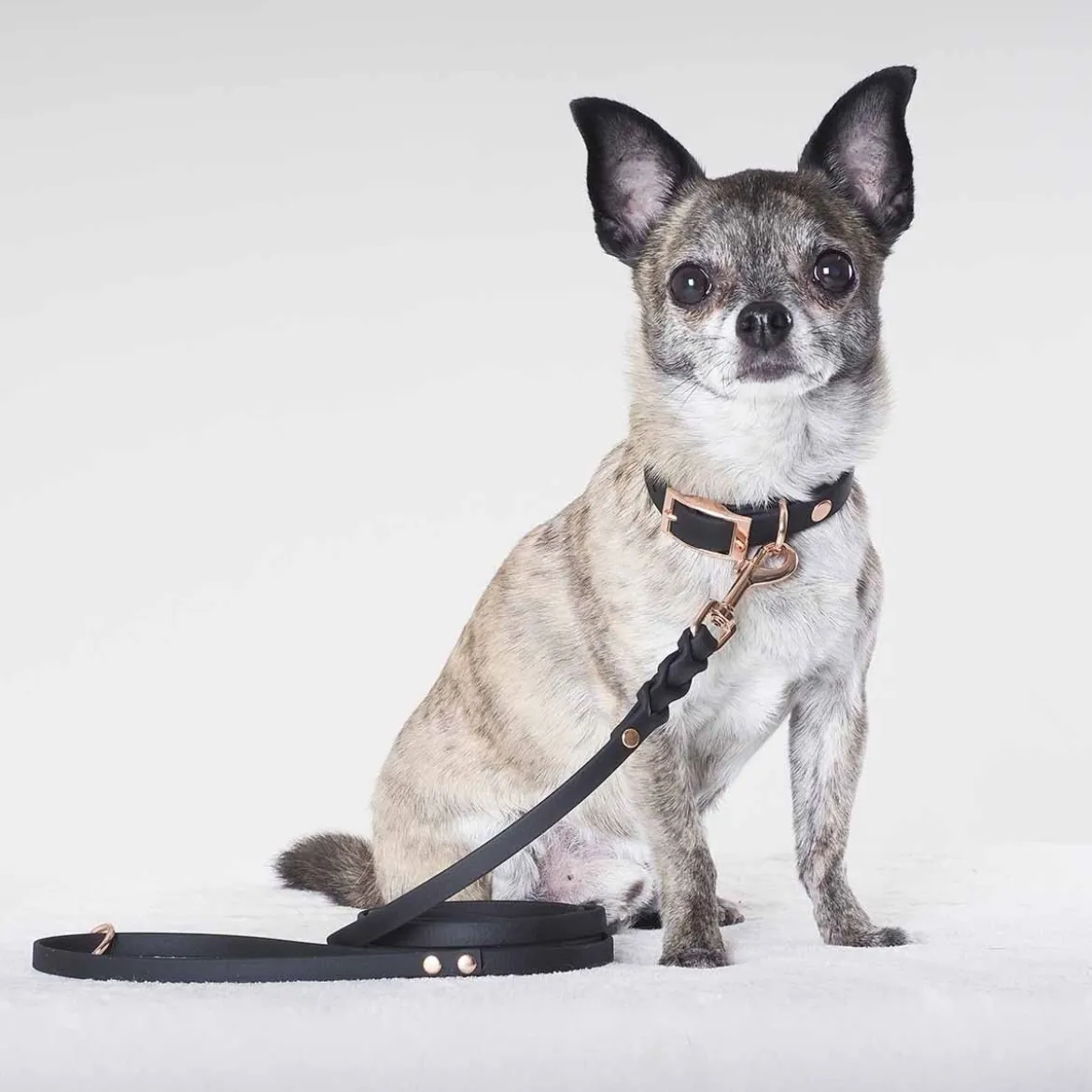 Tyylivoitto Classy Hundhalsband Svart