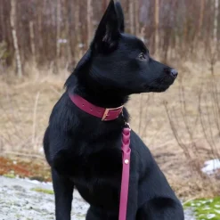 Tyylivoitto Classy Hundhalsband Stor Modell Vinröd