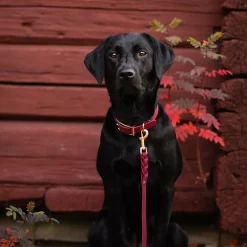 Tyylivoitto Classy Hundhalsband Stor Modell Vinröd