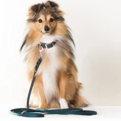 Tyylivoitto Classy Hundhalsband Grön
