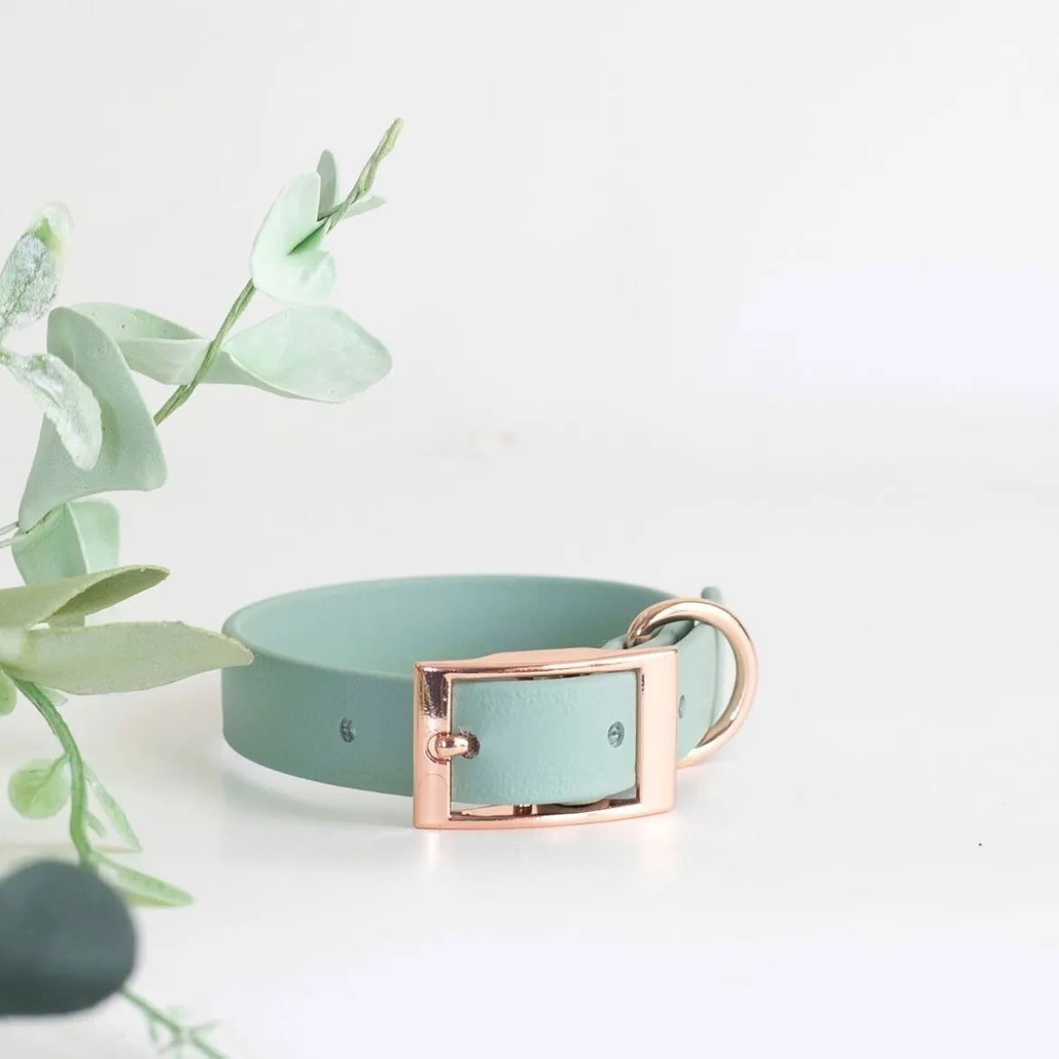 Tyylivoitto Classy Hundhalsband Ljusgrön
