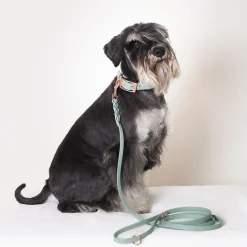 Tyylivoitto Classy Hundhalsband Ljusgrön