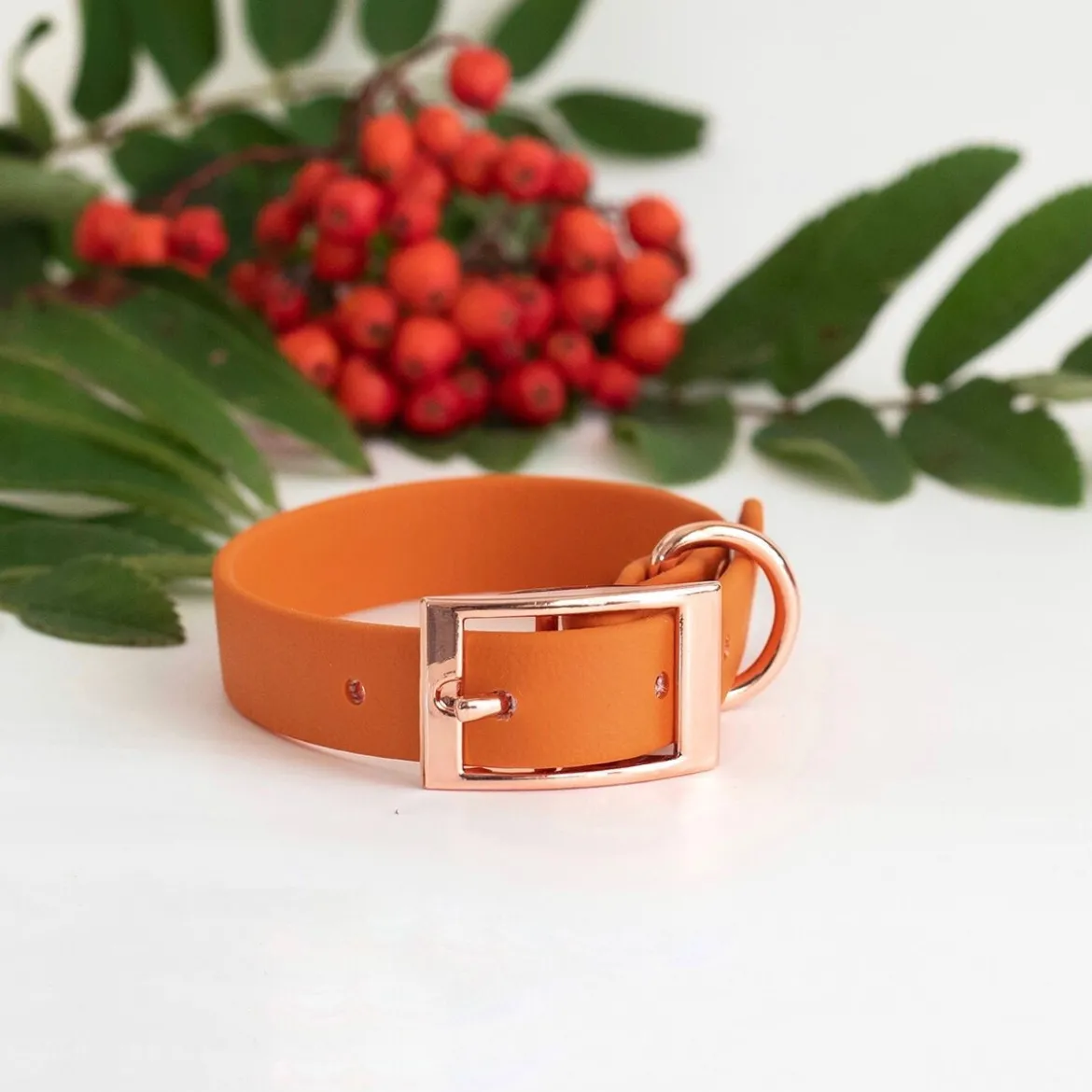 Tyylivoitto Classy Hundhalsband Liten Modell Mörk Orange