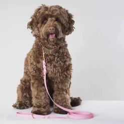 Tyylivoitto Hundkoppel Flätat Ljusrosa