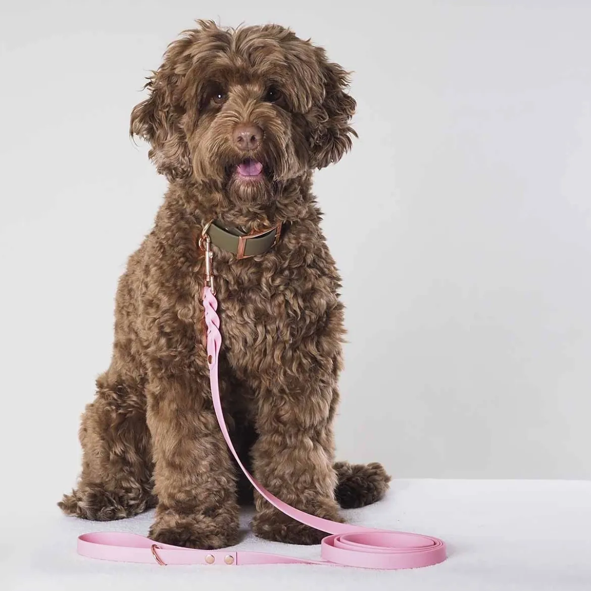 Tyylivoitto Hundkoppel Flätat Ljusrosa