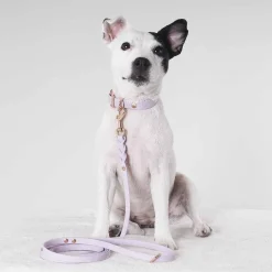 Tyylivoitto Hundkoppel Flätat Lila