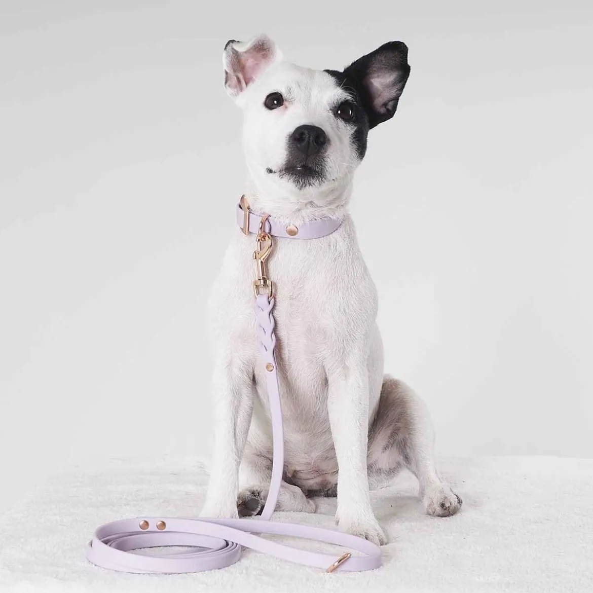 Tyylivoitto Hundkoppel Flätat Lila
