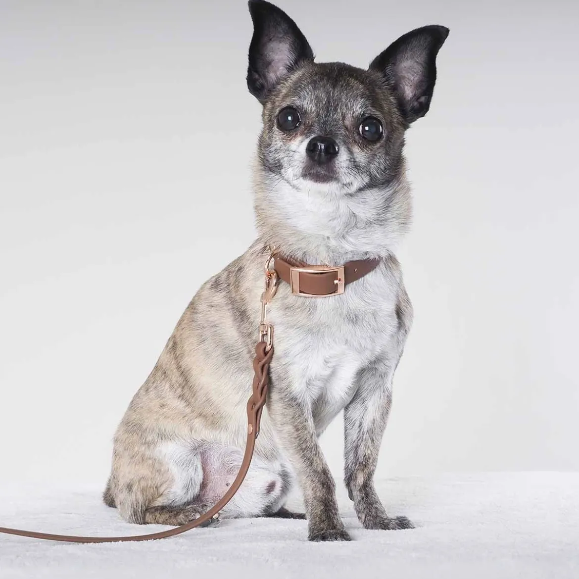 Tyylivoitto Hundkoppel Flätat Brun