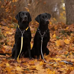 Tyylivoitto Shine Eazy Hundkoppel med Reflex Svart