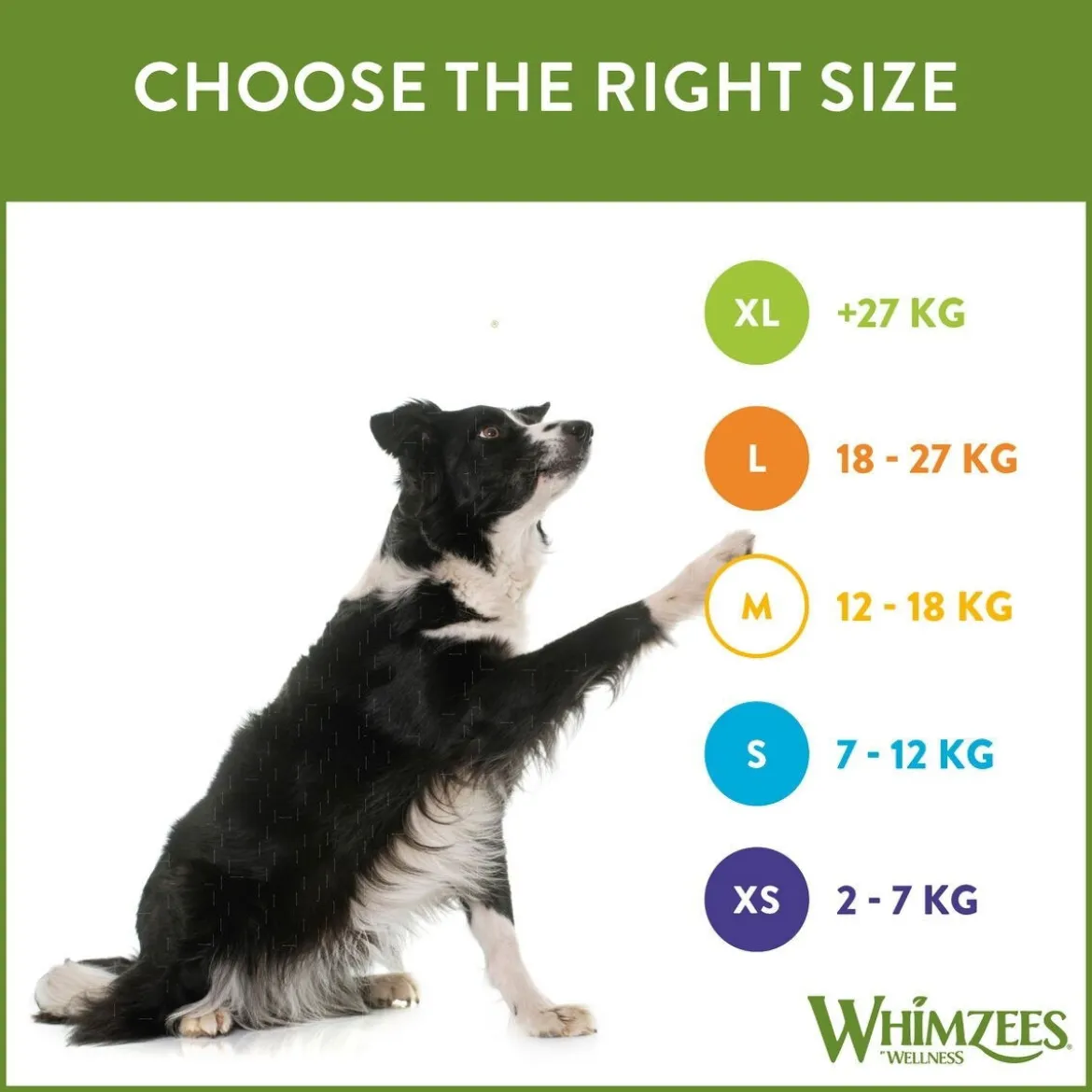 Whimzees Alligator Large 6-pack