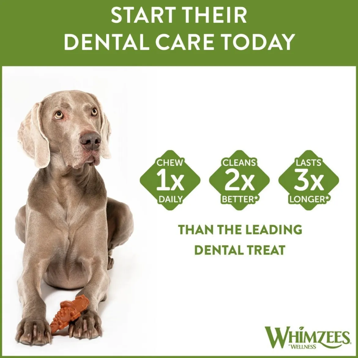 Whimzees Alligator Large 6-pack