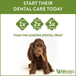 Whimzees Puppy Dental M/L