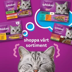 Whiskas 1+med Oxe, Lamm och Kyckling i Gelé60x85 g