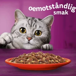 Whiskas 1+med Oxe, Lamm och Kyckling i Gelé60x85 g