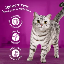 Whiskas 1+med Oxe, Lamm och Kyckling i Gelé60x85 g